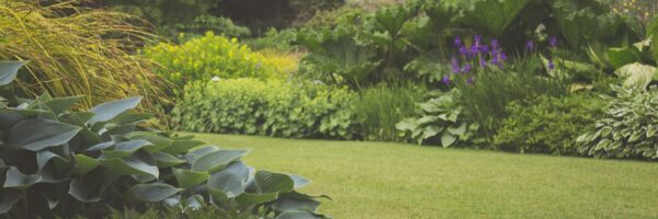 Lawn Care Worker